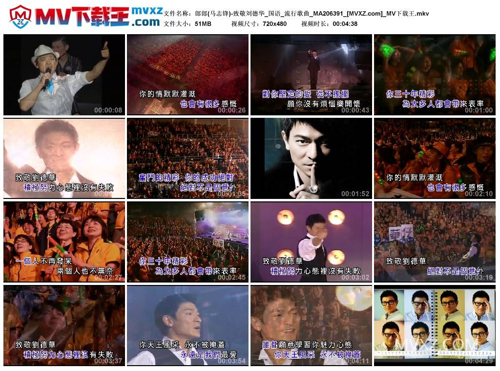 郎郎(马志锋)-致敬刘德华_国语_流行歌曲_MA206391